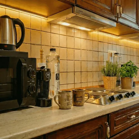 דירה Joy Sophisticated Style Views טימישוארה