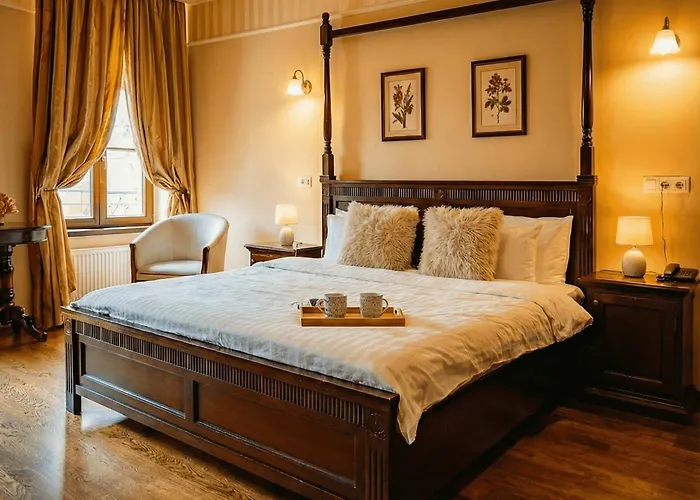 Joy Sophisticated Style Views Temešvár