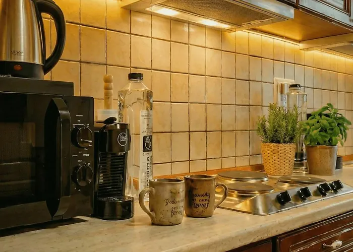 Apartmán Joy Sophisticated Style Views Temešvár